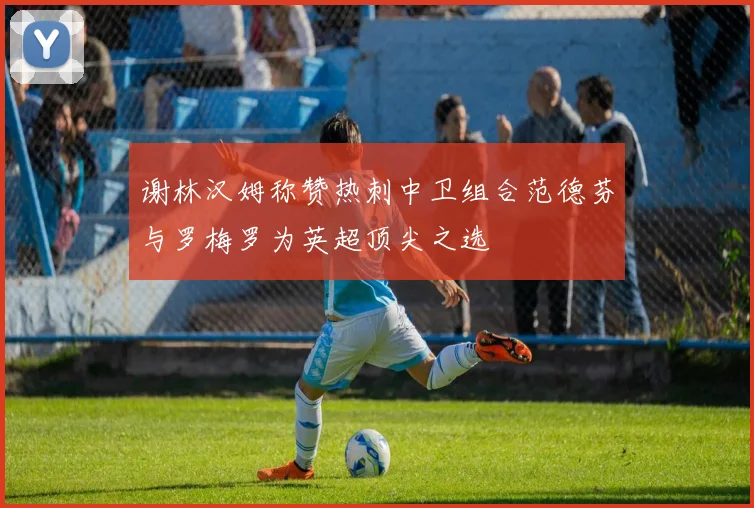 谢林汉姆称赞热刺中卫组合范德芬与罗梅罗为英超顶尖之选
