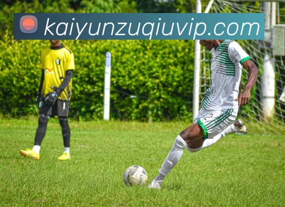 开云体育APP 封面图